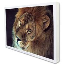 Quadro Decorativo A Face do Leão em Moldura Caixa Quadro Decorativo A Face do Leão em Moldura Caixa