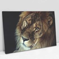 Quadro Decorativo A Face do Leão em tela Canvas