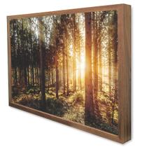 Quadro Decorativo A Natureza na Luz do Sol em Moldura Caixa