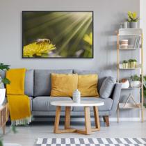 Quadro Decorativo Abelha e Raio de Sol Quadro Decorativo Abelha e Raio de Sol