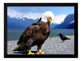 Quadro Decorativo Águia Foto Poster Moldurado