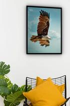 Quadro Decorativo Águia Voando Céu - 70x50cm