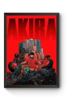 Quadro Decorativo Akira