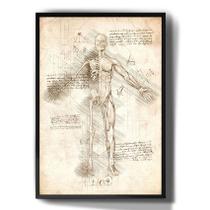 Quadro Decorativo Anatomia Corpo Humano Desenho