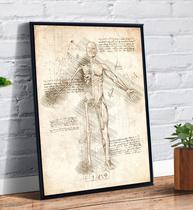 Quadro Decorativo Anatomia Corpo Humano Desenho - Tribos