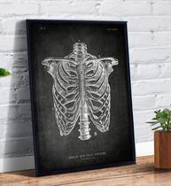 Quadro Decorativo Anatomia Esqueleto Corpo Humano