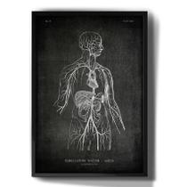 Quadro Decorativo Anatomia Humana Desenho Medicina
