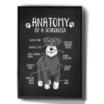 Quadro Decorativo Anatomia Schnauzer Cachorro Desenho