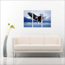 Quadro Decorativo Animais Águia Salas 3 peças Com Moldura