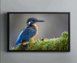 Quadro Decorativo Animais Ave Pássaro Salas Tela Canvas Premium GG2