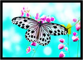 Quadro Decorativo Animais Borboleta Paisagem Cores Pet Shop Natureza Com Moldura RC069 Quadro Decorativo Animais Borboleta Paisagem Cores Pet Shop Natureza Com Moldura RC069