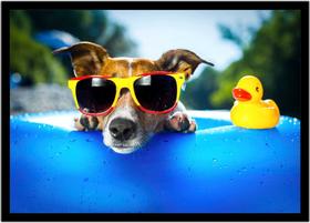 Quadro Decorativo Animais Cachorro De Óculos Jack Russell Terrier Pet Shop Com Moldura RC130