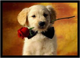 Quadro Decorativo Animais Cachorro Golden Retriever Pet Shop Cão Com Moldura RC000