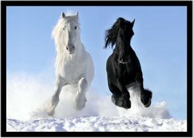 Quadro Decorativo Animais Cavalo Branco E Preto Veterinário Natureza Paisagem Com Moldura RC010 Quadro Decorativo Animais Cavalo Branco E Preto Veterinário Natureza Paisagem Com Moldura RC010
