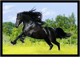 Quadro Decorativo Animais Cavalo Corcel Negro Veterinário Pet Shop Natureza Com Moldura RC039