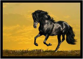 Quadro Decorativo Animais Cavalo Corcel Negro Veterinário Pet Shop Natureza Com Moldura RC055 Quadro Decorativo Animais Cavalo Corcel Negro Veterinário Pet Shop Natureza Com Moldura RC055