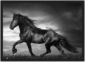Quadro Decorativo Animais Cavalo Preto e Branco Com Moldura Salas Decorações