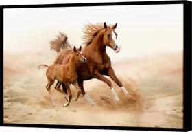 Quadro Decorativo Animais Cavalos Cavalo Canvas Moldura Filete