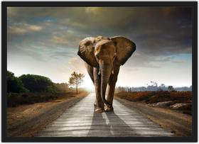 Quadro Decorativo Animais Elefante Com Moldura Salas Decorações Interiores Quadro Decorativo Animais Elefante Com Moldura Salas Decorações Interiores