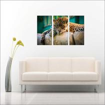 Quadro Decorativo Animais Leopardo Salas 3 peças Com Moldura