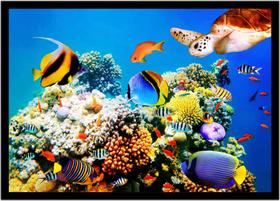 Quadro Decorativo Animais Peixes Tartaruga Cores Veterinário Pet Shop Com Moldura RC090 Quadro Decorativo Animais Peixes Tartaruga Cores Veterinário Pet Shop Com Moldura RC090