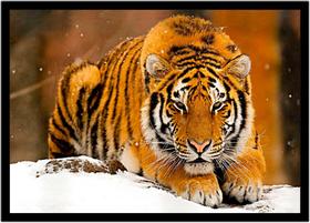 Quadro Decorativo Animais Tigre De Bengala Paisagem Veterinário Pet Shop Natureza Com Moldura RC049
