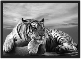 Quadro Decorativo Animais Tigre Preto e Branco Decoração Com Moldura Quadro Decorativo Animais Tigre Preto e Branco Decoração Com Moldura