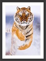 Quadro Decorativo Animais Tigre Salas Quartos Decorações Com Moldura Quadro Decorativo Animais Tigre Salas Quartos Decorações Com Moldura