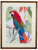Quadro Decorativo - Arara Vermelha