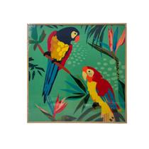 Quadro Decorativo Araras Plantas Placa Sala Escritório 25x25