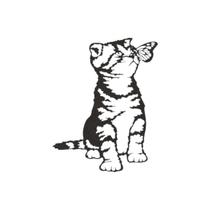 Quadro Decorativo Arte Gato Borboletas 30Cm Mdf Preto 3Mm