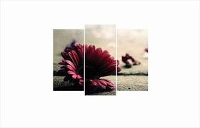 Quadro Decorativo Artesanal Flores Da Vida 3 Peças