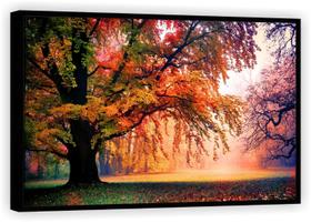 Quadro Decorativo Árvore Folhas Caídas Paisagem Natureza Sala Tela Canvas Premium