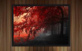 Quadro Decorativo Árvore Tons Vermelhos Paisagens Natureza Decorações Com Moldura