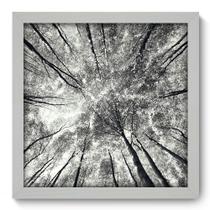 Quadro Decorativo - Árvores - 33cm x 33cm - 036qnpbb - Allodi