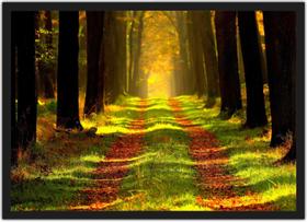Quadro Decorativo Árvores Folhagens Paisagem Natureza Decorações Com Moldura Quadro Decorativo Árvores Folhagens Paisagem Natureza Decorações Com Moldura