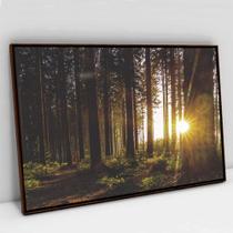 Quadro Decorativo As Árvores e o Nascer do Sol em tela Canvas