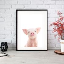 Quadro Decorativo Baby Pig - 60x48cm