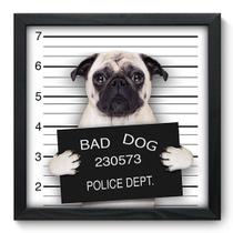 Quadro Decorativo - Bad Pug - 33cm x 33cm - 047qdsp