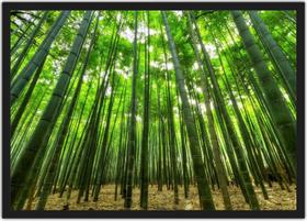 Quadro Decorativo Bambu Paisagem Natureza Decorações Com Moldura