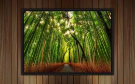 Quadro Decorativo Bambu Paisagens Natureza Decorações Com Moldura