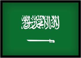 Quadro Decorativo Bandeira Da Arábia Saudita País Salas Lojas Escritório Quartos Com Moldura RC017 Quadro Decorativo Bandeira Da Arábia Saudita País Salas Lojas Escritório Quartos Com Moldura RC017