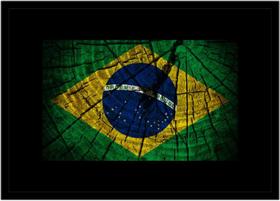 Quadro Decorativo Bandeira Do Brasil Emblema País Salas Escritórios Lojas Quartos Com Moldura RC036