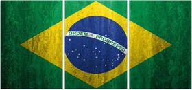 Quadro Decorativo Bandeira Do Brasil Países Decoração Quartos Sala P002