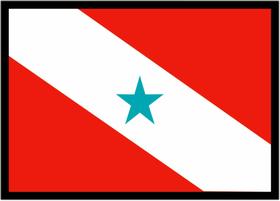 Quadro Decorativo Bandeira Do Estado Do Pará Escritórios Salas Lojas Quartos Com Moldura RC046