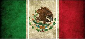 Quadro Decorativo Bandeira do México Países Decoração Quartos Sala