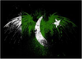 Quadro Decorativo Bandeira Do Paquistão País Salas Casa Lojas Escritório Quartos Com Moldura RC016