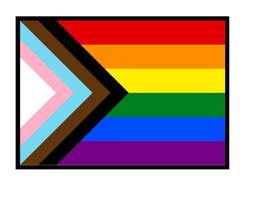 Quadro Decorativo Bandeira Progressista do Orgulho LGBTQIA+ com Moldura E Acetato Tamanho A3