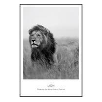 Quadro Decorativo Barcelona Leao Pb 60X90 Cm Quadro Decorativo Barcelona Leao Pb 60X90 Cm