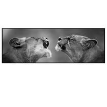 Quadro Decorativo Barcelona Leoa P&B 30x90 cm